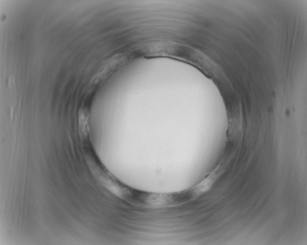 X0000066020142200603241544