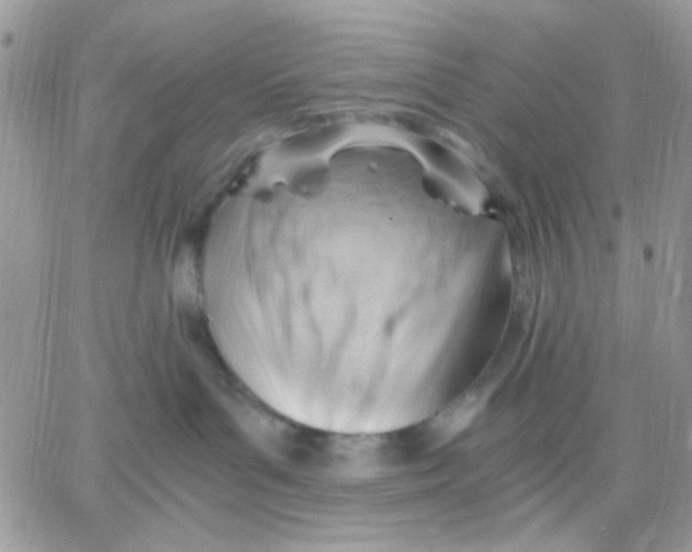 X0000066020143200603241544