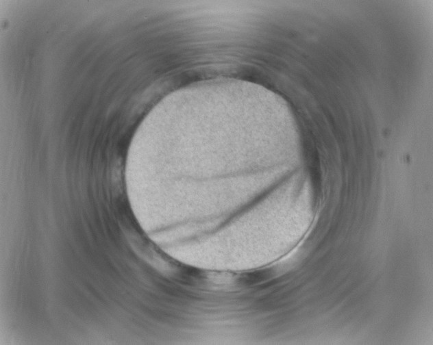 X0000066020144200603241544