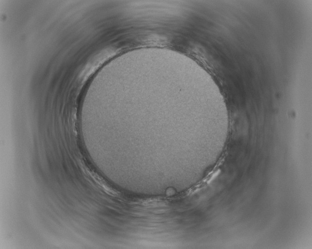 X0000066020146200603241544