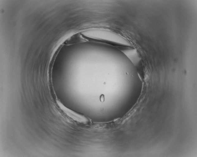 X0000066020148200603241544