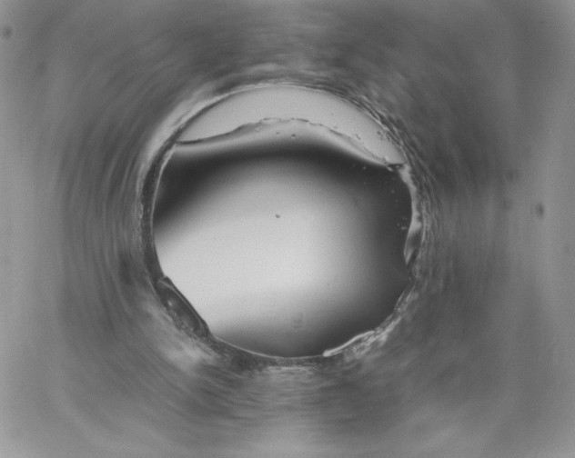 X0000066020150200603241544