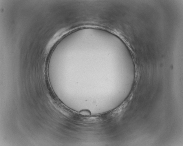 X0000066020151200603241544