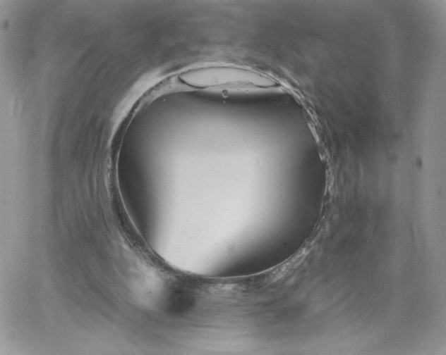 X0000066020152200603241544