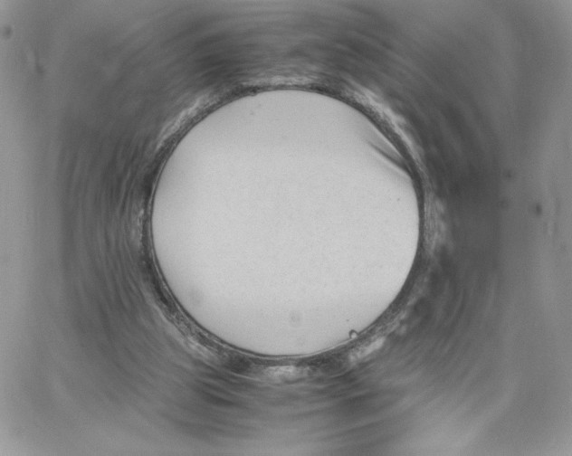 X0000066020153200603241544