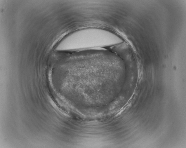 X0000066020154200603241544