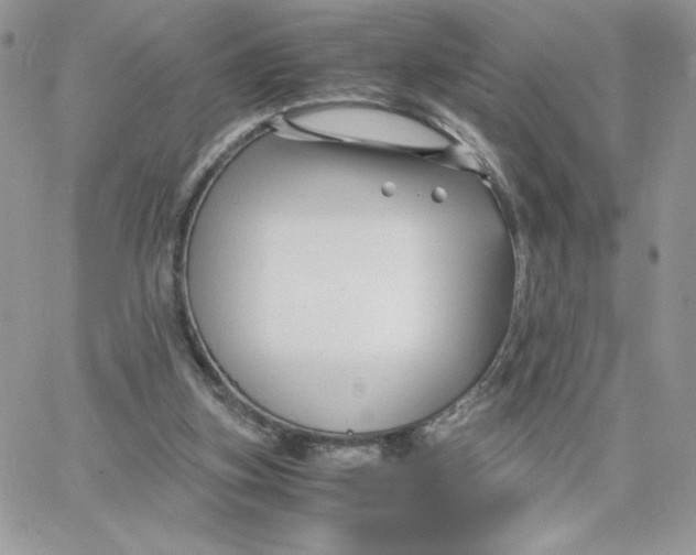 X0000066020155200603241544