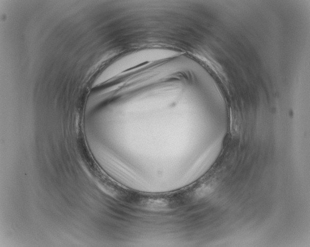 X0000066020157200603241544