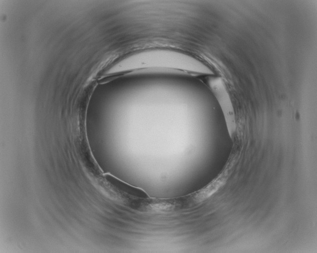 X0000066020158200603241544