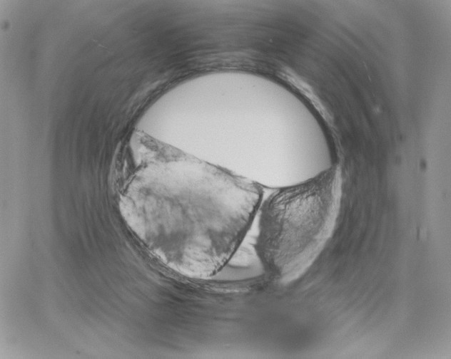 X0000066020161200603241544