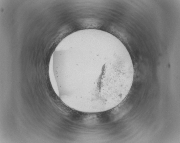 X0000066020162200603241544