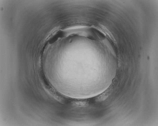 X0000066020163200603241544