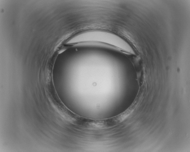 X0000066020164200603241544