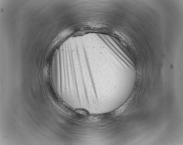 X0000066020166200603241544