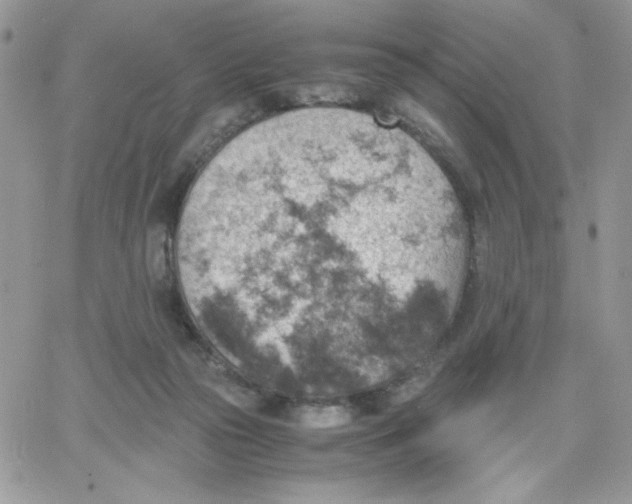 X0000066020169200603241544