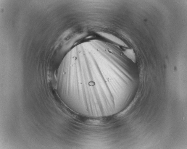 X0000066020170200603241544