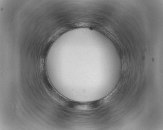 X0000066020171200603241544