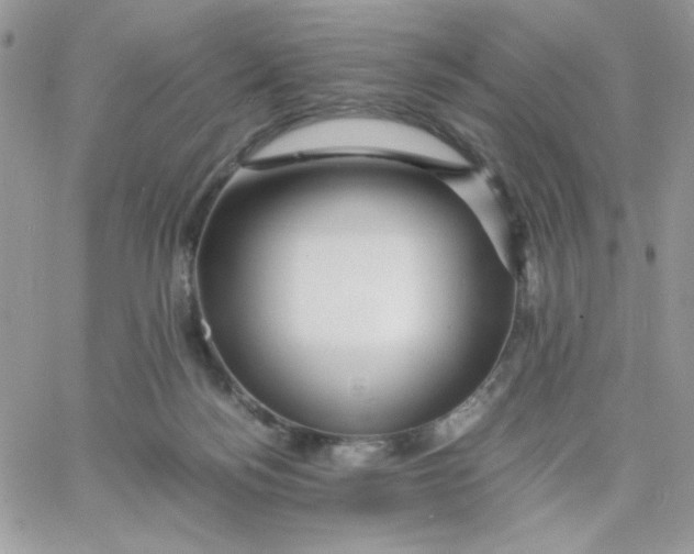 X0000066020172200603241544