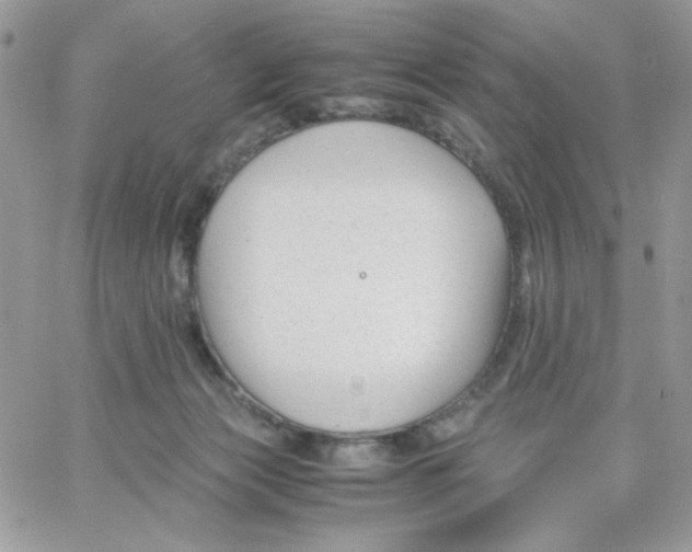 X0000066020173200603241544