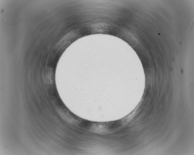 X0000066020174200603241544