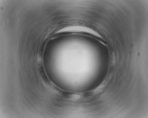 X0000066020176200603241544