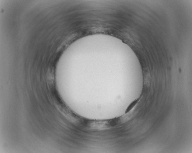 X0000066020179200603241544