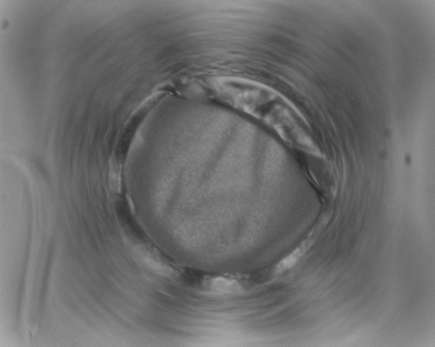 X0000066020180200603241544