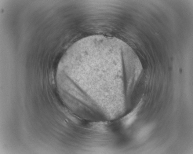 X0000066020182200603241544