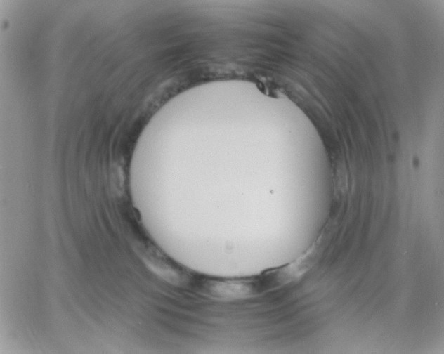 X0000066020183200603241544