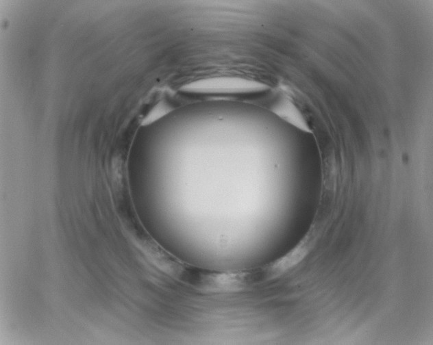 X0000066020184200603241544