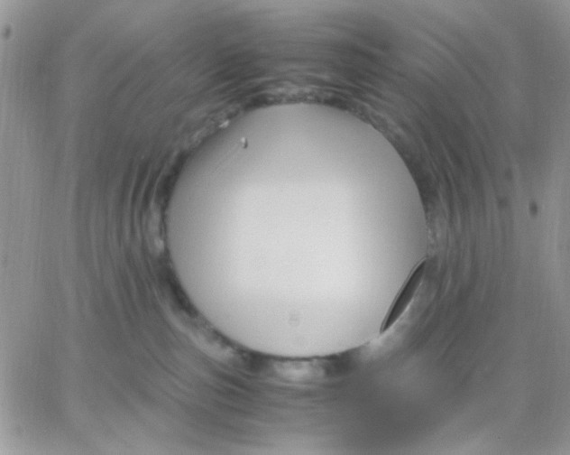 X0000066020187200603241544