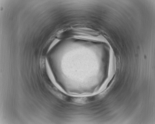 X0000066020191200603241544