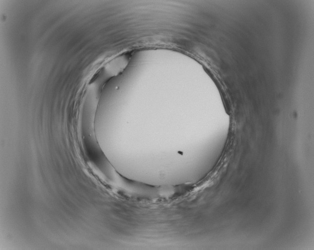 X0000066020193200603241544