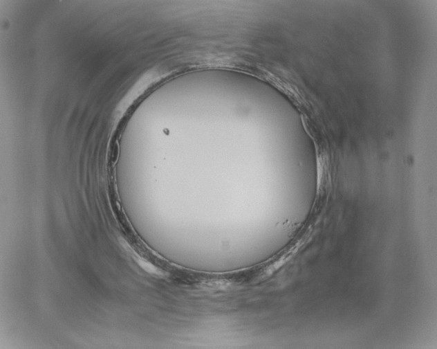 X0000066020195200603241544