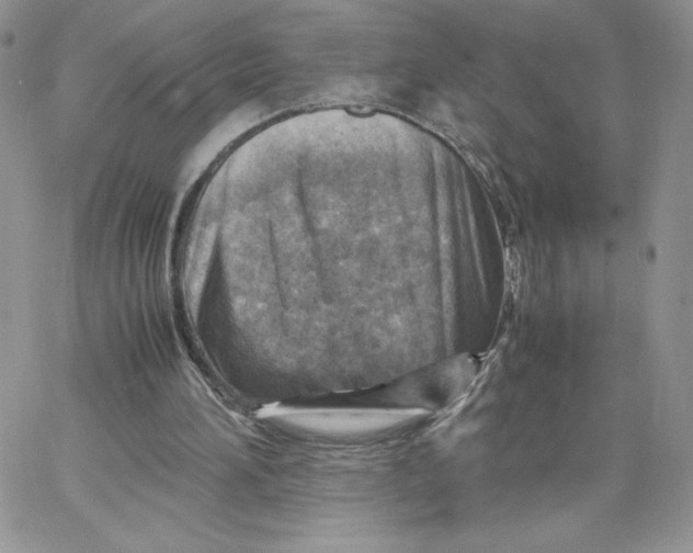 X0000066020196200603241544