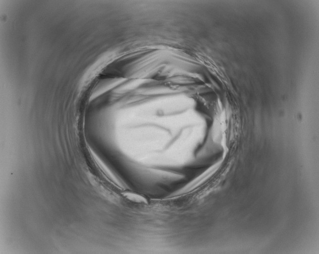 X0000066020197200603241544