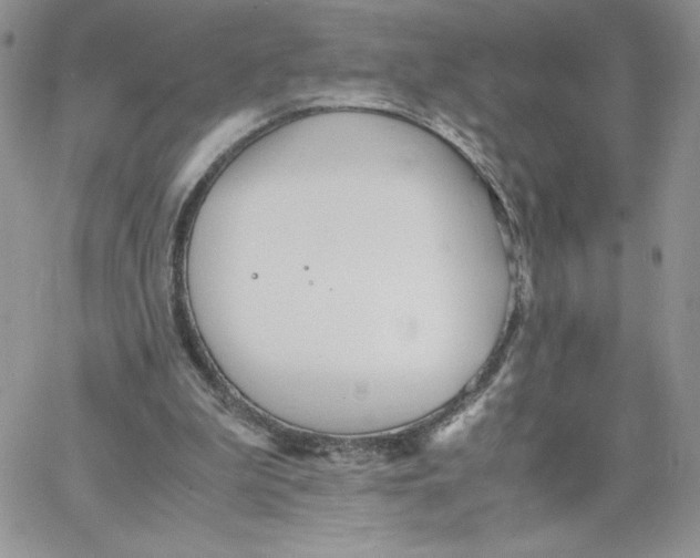 X0000066020199200603241543