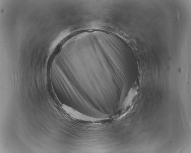 X0000066020200200603241543