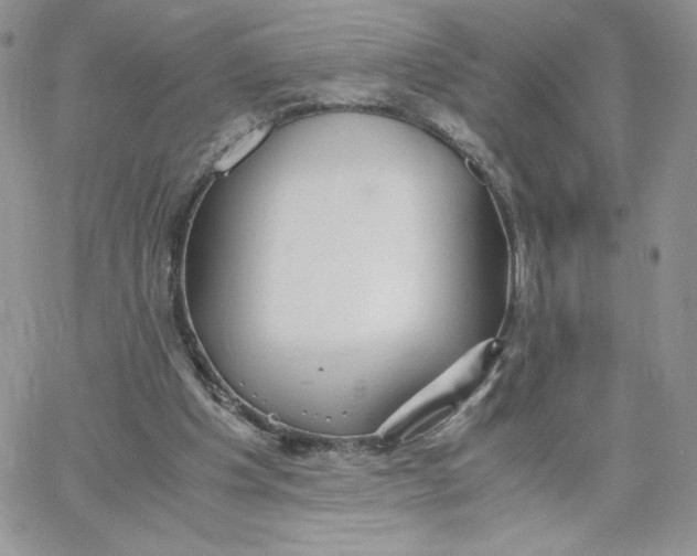 X0000066020201200603241543