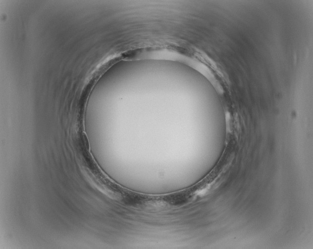 X0000066020203200603241543