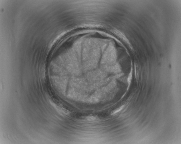 X0000066020204200603241543