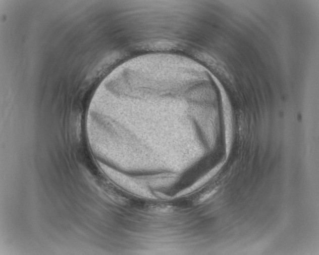 X0000066020206200603241543