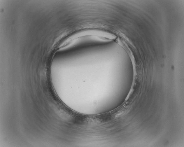 X0000066020207200603241543