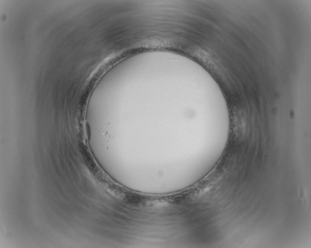 X0000066020208200603241543