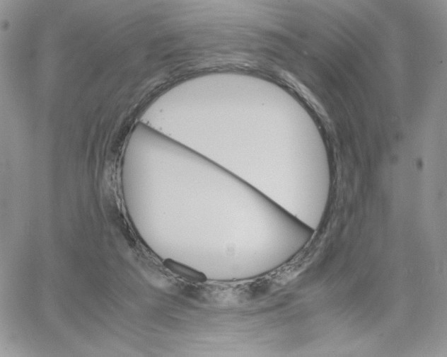 X0000066020209200603241543