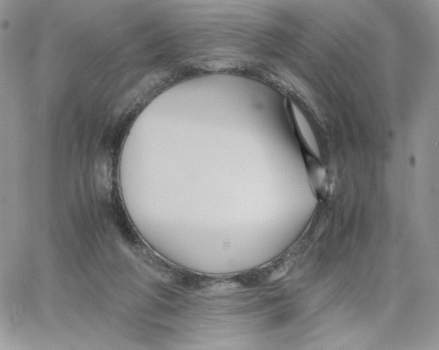 X0000066020210200603241543