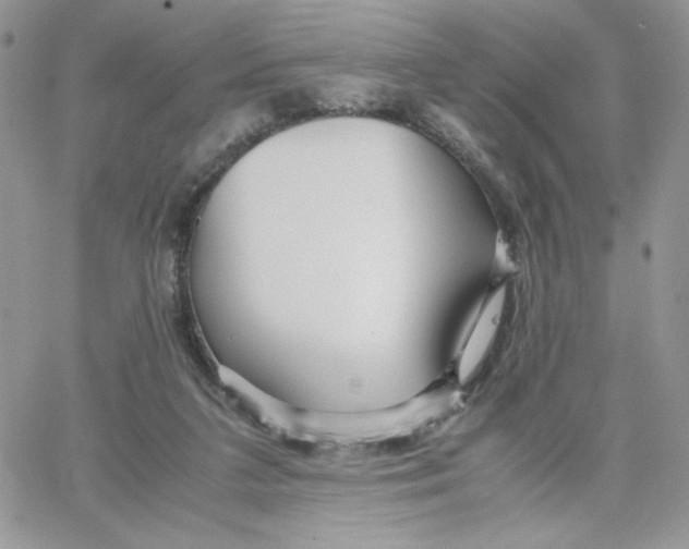 X0000066020211200603241543