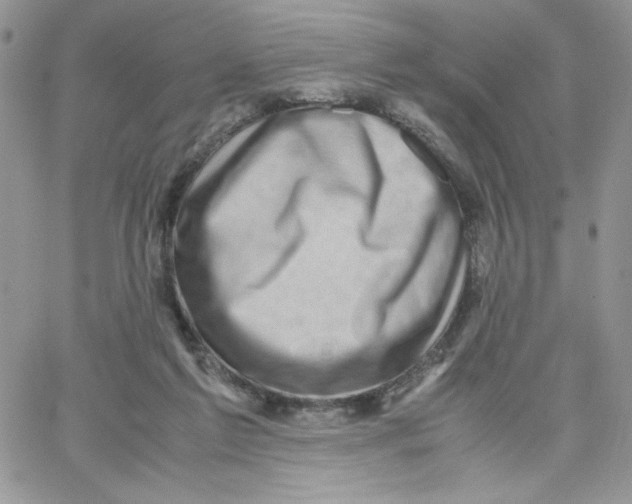 X0000066020213200603241543