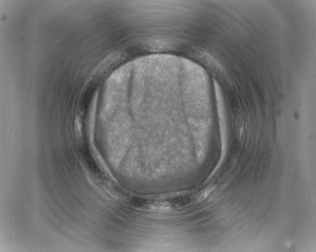 X0000066020214200603241543