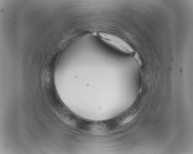 X0000066020215200603241543